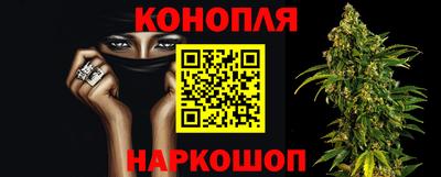 Альфа ПВП Дубна