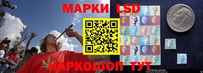 Альфа ПВП Дубна
