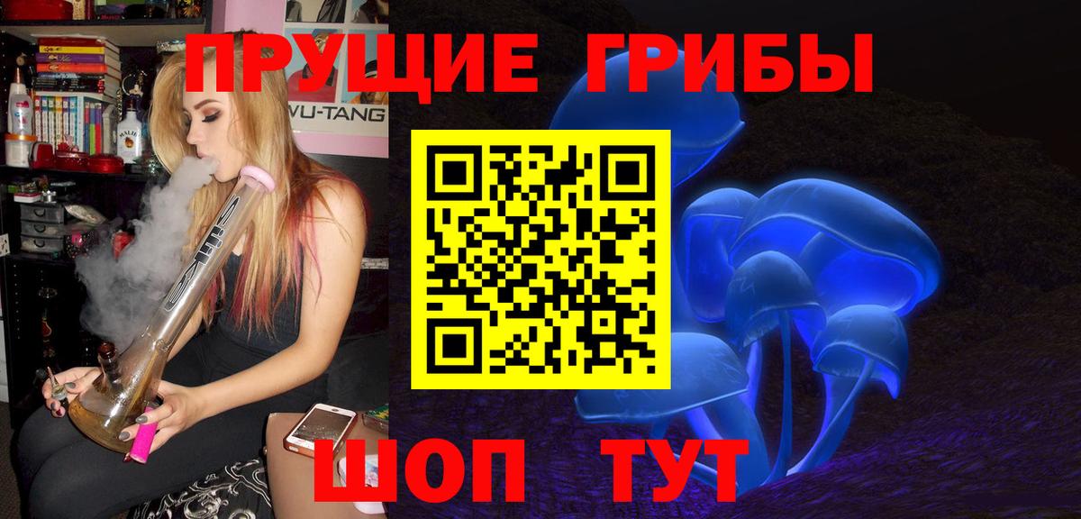 Псилоцибиновые грибы GOLDEN TEACHER Морозовск